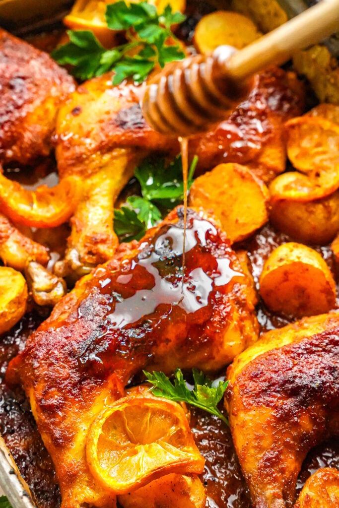 moroccan harissa and honey chicken